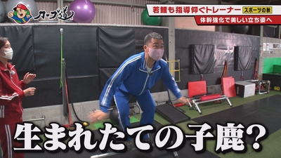 3R4HpWahiK8zmZosd2Lj.jpg?w=940&h=940