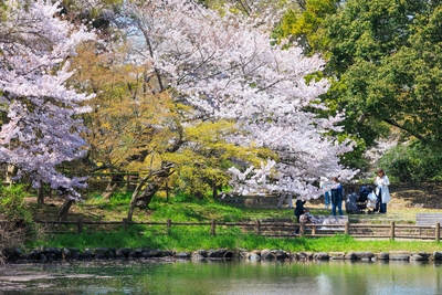 3RN79bmaQzIxpi4gdHs9.jpg?w=940&h=940