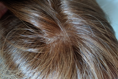 3S2EcvJS0myQSRmhT2MU.jpg?w=940&h=940