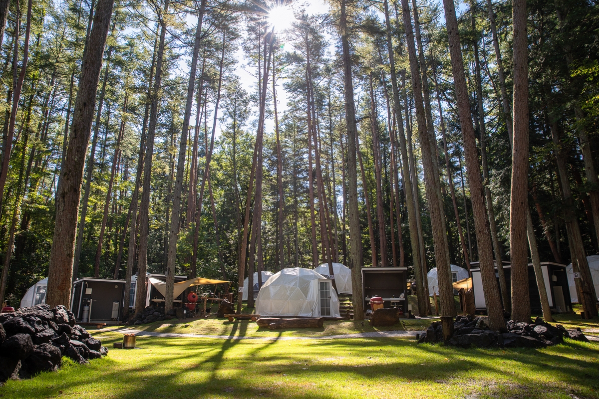 期間限定/平日限定 持ち込みプランスタート ~大自然の森の中で、楽しむ自由でおトクな持ち込みグランピング~