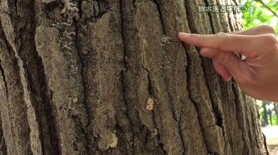 3TwY7XYskc7RwXvjxDZw.jpg?w=940&h=940