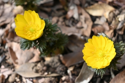 3U89dcWIMAeRdcFgkuFK.jpg?w=940&h=940