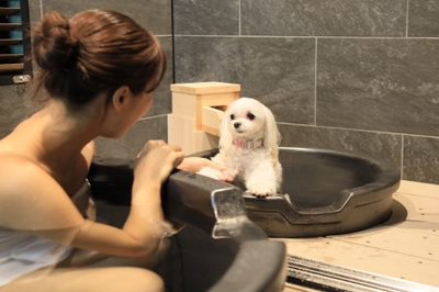 わんちゃんと愉しむ貸切風呂