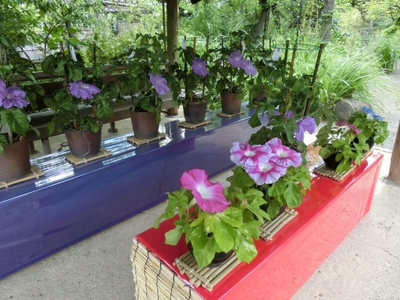 3UwhnYKGdTvCfdQq7ZCG.jpg?w=940&h=940