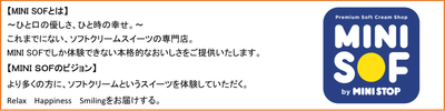 MINI SOF紹介