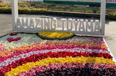 3WDByLUhMZLTtcKixDXO.jpeg?w=940&h=940