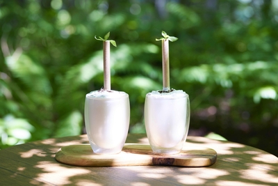 3X4XoBfzEm6I729X0mtN.jpg?w=940&h=940