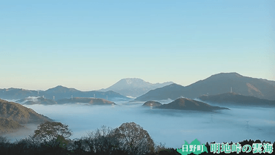 3XCa0uf5stZjtyWB4ssb.png?w=940&h=940