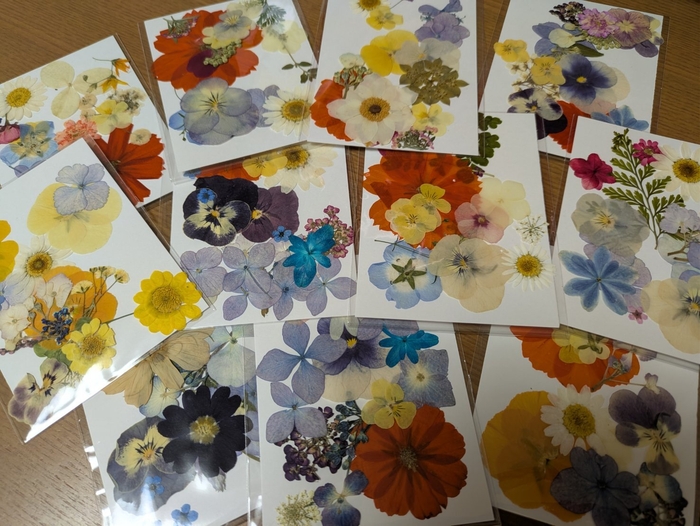 お花のしおり～花材