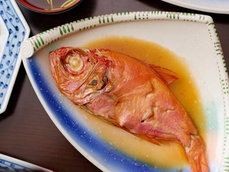 【金目鯛づくし】西伊豆・土肥温泉の愛犬宿がご当地グルメプラン販売｜2025年7月～9月30日