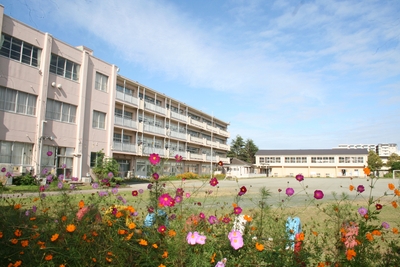 3YFidOtkbegqKVmWLOF6.jpg?w=940&h=940