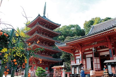 3YQDddbQAMMMciDFHv3M.jpg?w=940&h=940