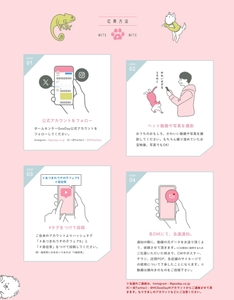 3bpoz4hhiWRmtjBvrIf3.jpg?w=940&h=940