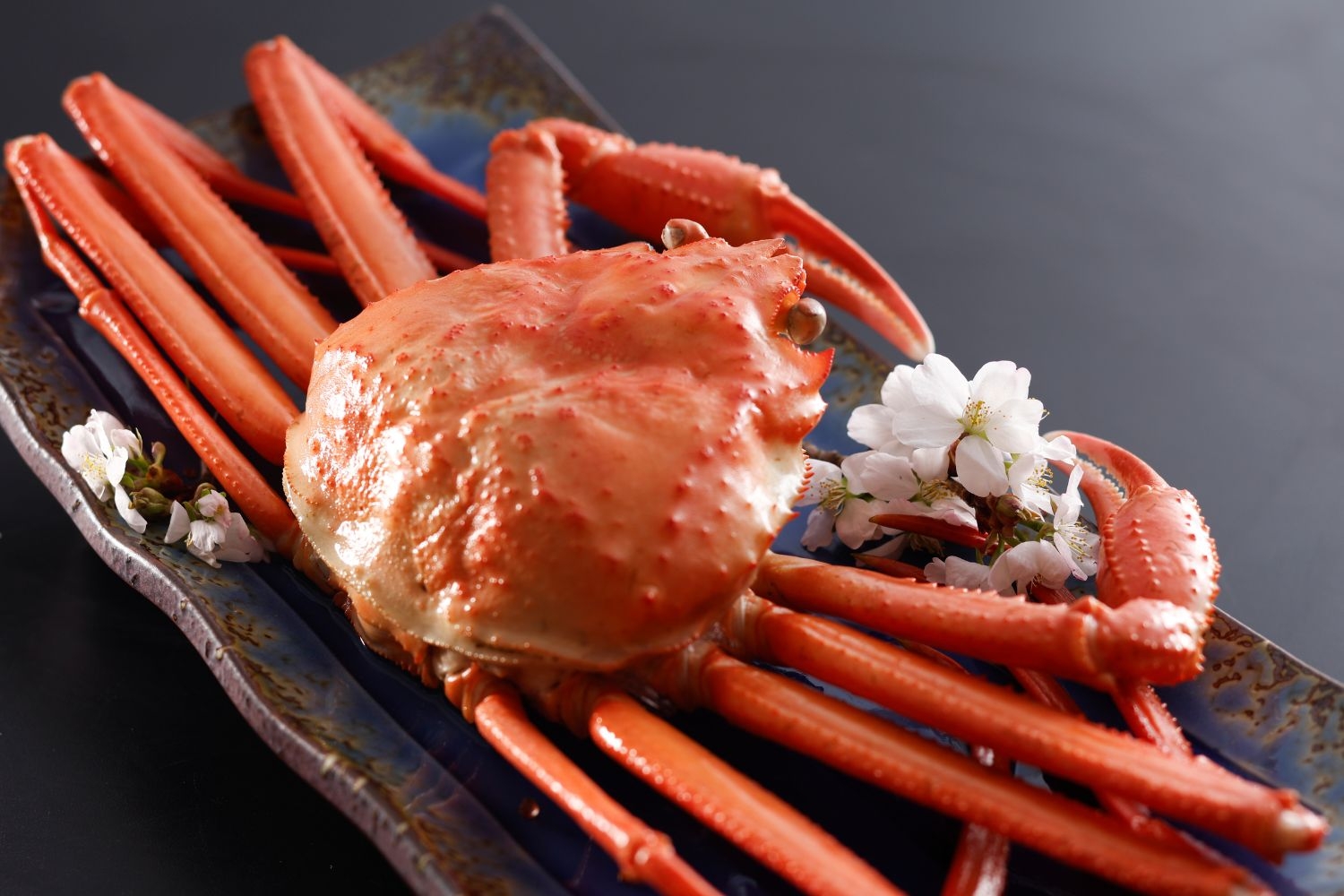 香住産 紅ズワイガニ