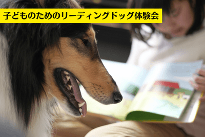 3d43EzmTjdDNKtWgjeQx.png?w=940&h=940