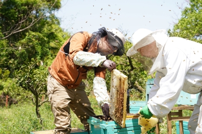 3ejr8Y77urKOgbZmJfyH.jpg?w=940&h=940