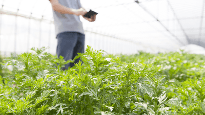 3em0GY48Z1K3H2PH1zrT.png?w=940&h=940