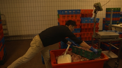 3euEdcLyB2P1AS1L4YoW.jpg?w=940&h=940