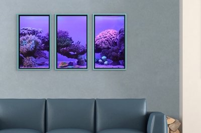 3gA4vFYpf8MvIagZxgKU.jpg?w=940&h=940