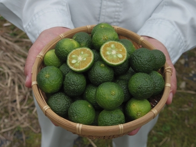 3gfi3pcFErMApwExMXLR.JPG?w=940&h=940