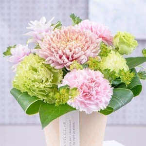 3iFwvMO8bKj8j2TjaUq5.jpg?w=940&h=940