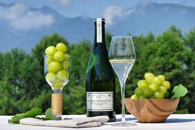 3iHwXRWcqmxwjGcw447r.jpg?w=940&h=940