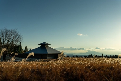 3iYH0g4B6Jj73MqxgtXB.jpg?w=940&h=940