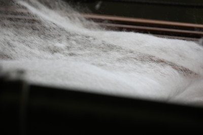 3ia25MYdi7CxXrIVZN3Z.jpg?w=940&h=940