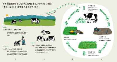 3jE7BiJyJM3Hg3jYosFi.png?w=940&h=940