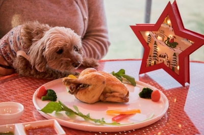 一流イタリアンシェフによる特製コース