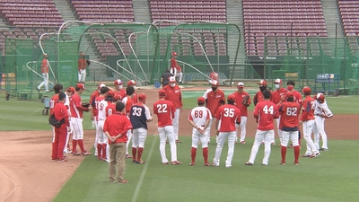 3kT7NKDwBy6O1T81ZGZ4.jpg?w=940&h=940