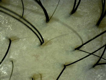 3mVPbK3E9TilPXGLz4SM.png?w=940&h=940