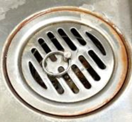 排水口に発生したバイオフィルム。茶色がかった部分で、ぬめり状の物質(イメージ)