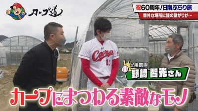 3s6u1ezhbo0adDuFbnqN.jpg?w=940&h=940