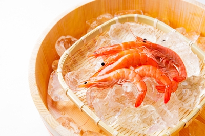 ※写真はイメージです