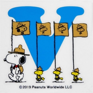 3tYtQxHiFeTGmYGoRkcH.jpg?w=940&h=940