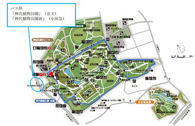 3tvk3ceM6gTASAsLBtrQ.png?w=940&h=940