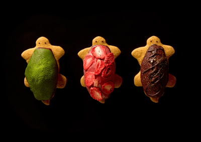 3uPeLRwzGvq8gIMINRtZ.png?w=940&h=940