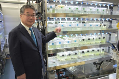 メダカの水槽と森教授