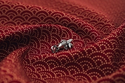 3xOHXngp3CjNLSyC7Ebo.jpeg?w=940&h=940