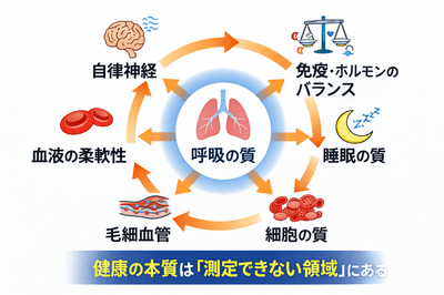 3zFhXM1paGWJ783Wzn51.png?w=940&h=940