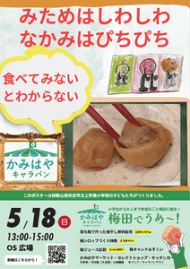 3zWzUM5WEDCE6Cdb8f2g.png?w=940&h=940