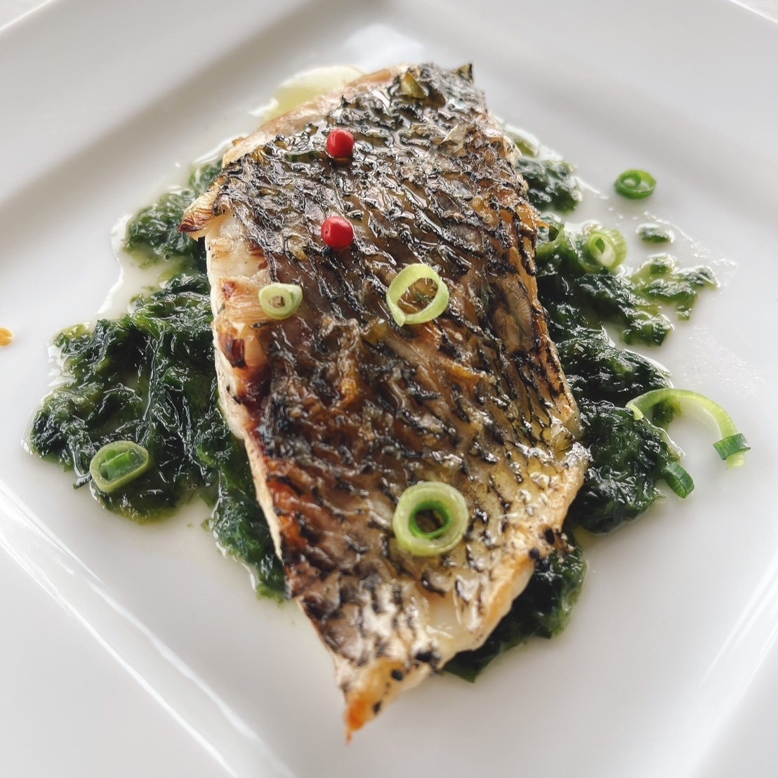 房州産 黒鯛の炭火焼 新青海苔のソース