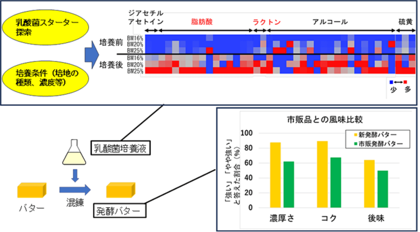 発酵バターの濃厚さとコク感を高める新たな風味設計技術を提案
～ジアセチル以外の香気成分の寄与を確認～