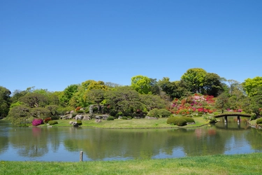 【六義園】大名庭園でつつじを楽しむ