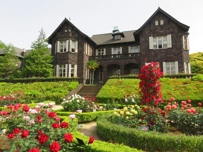 旧古河庭園のイチオシのフォトスポットも今が一番美しい時期です!