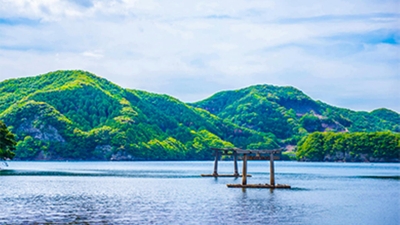 433EFDK9I6PHX4iw7z91.jpg?w=940&h=940