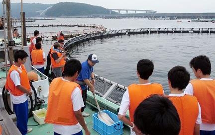 近畿大学水産研究所×近畿大学附属新宮高校　高校生が『近大マグロ』のふ化を観察