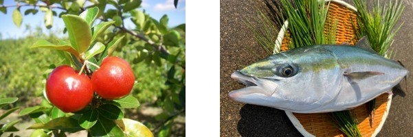 アセロラ(左)、アセロラぶり®(右)