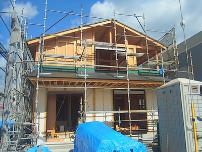 43Rn1DzynYDN37qN0I1W.jpg?w=940&h=940